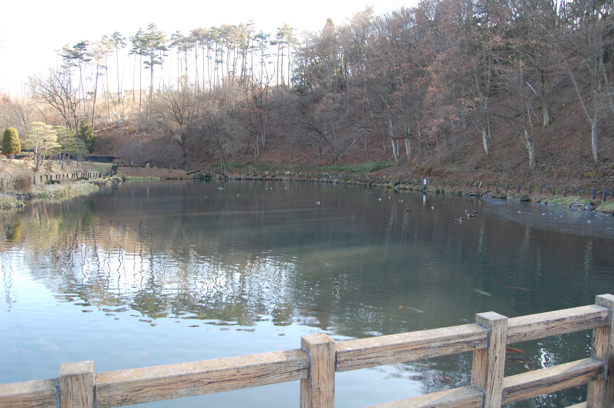 乙女湖公園 小海線ファンサイト